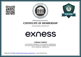 Comprehensive Review of Forex Trading www exness com review